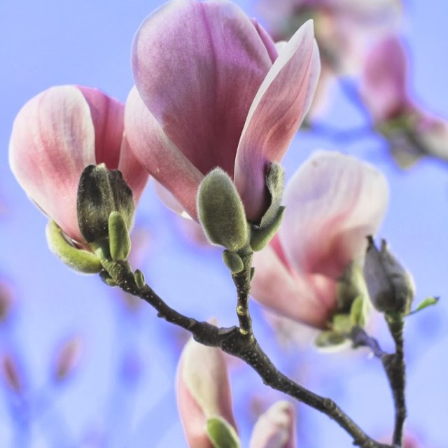 02-03-2014-8-1