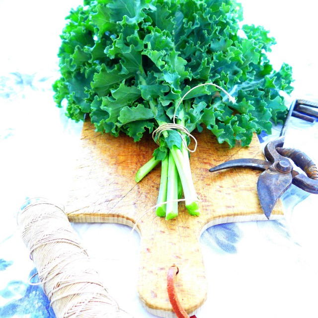 kale (5)-3
