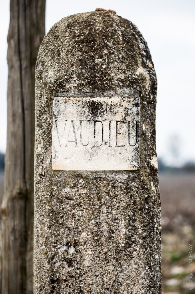 Rencontres gourmandes vaudieu