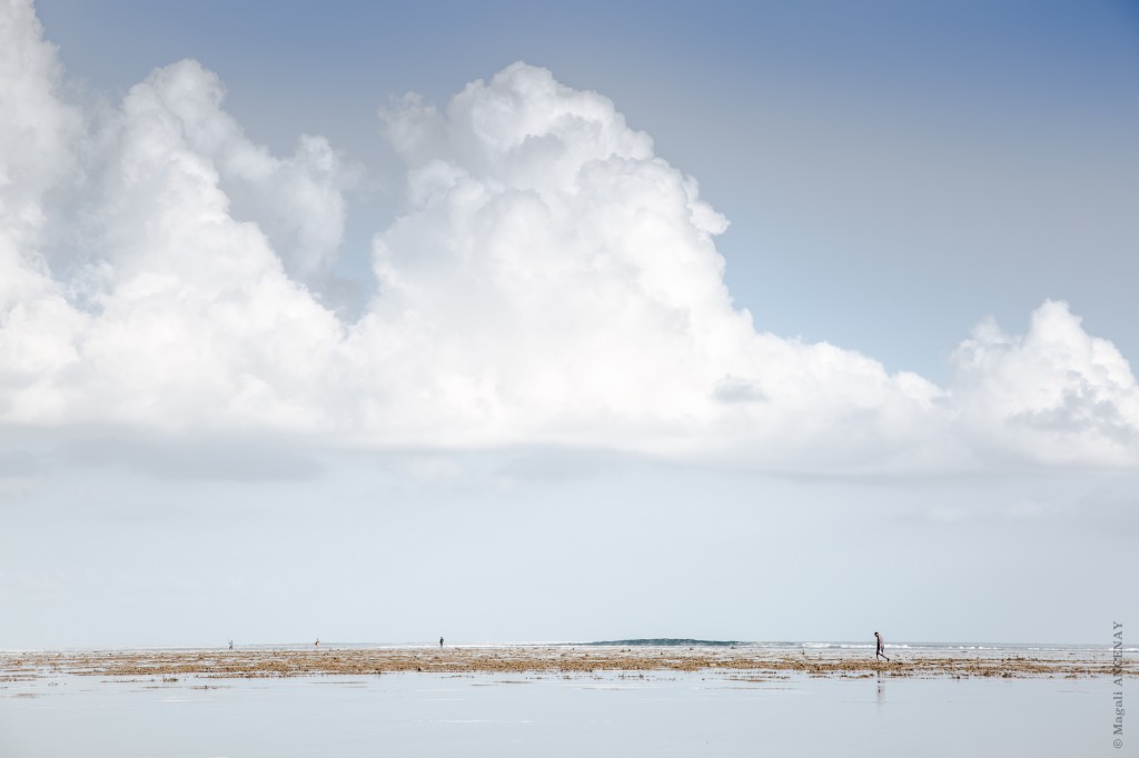 "Pêcheurs du lagon" Ile Maurice FEVR 2016