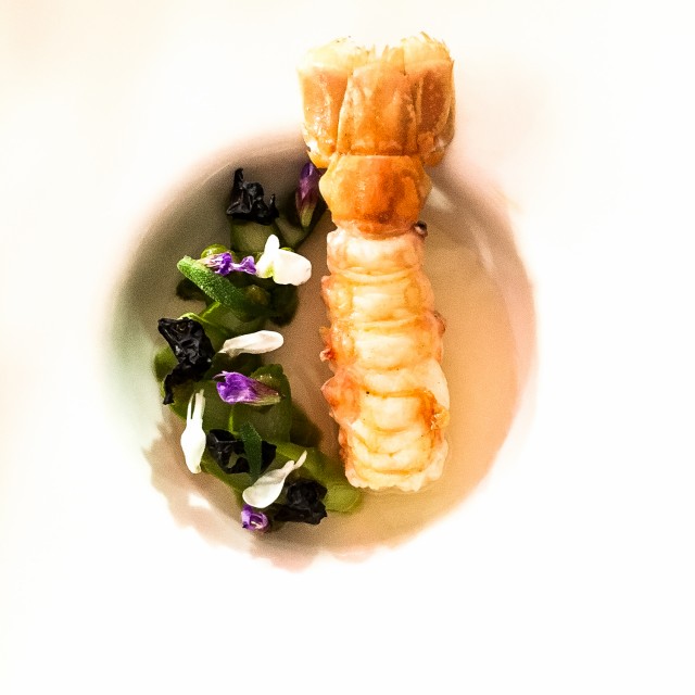 Langoustine, infusion de lilas.