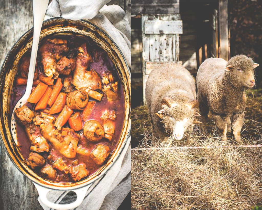 Pieds et paquets - Magali ANCENAY Photographe Culinaire