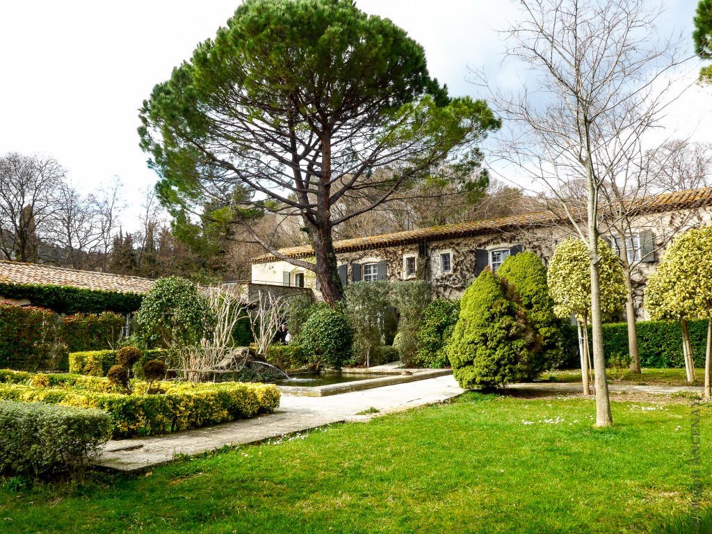 La Cabro d'Or