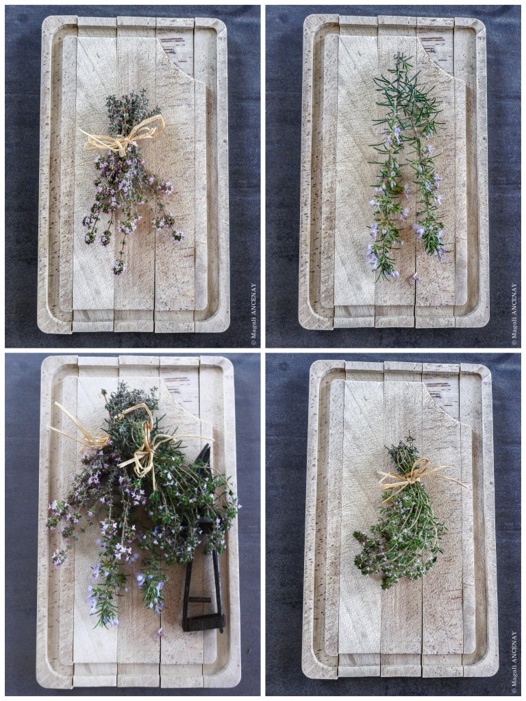 Thym, Romarin, Serpolet...Herbes de ma garrigue
