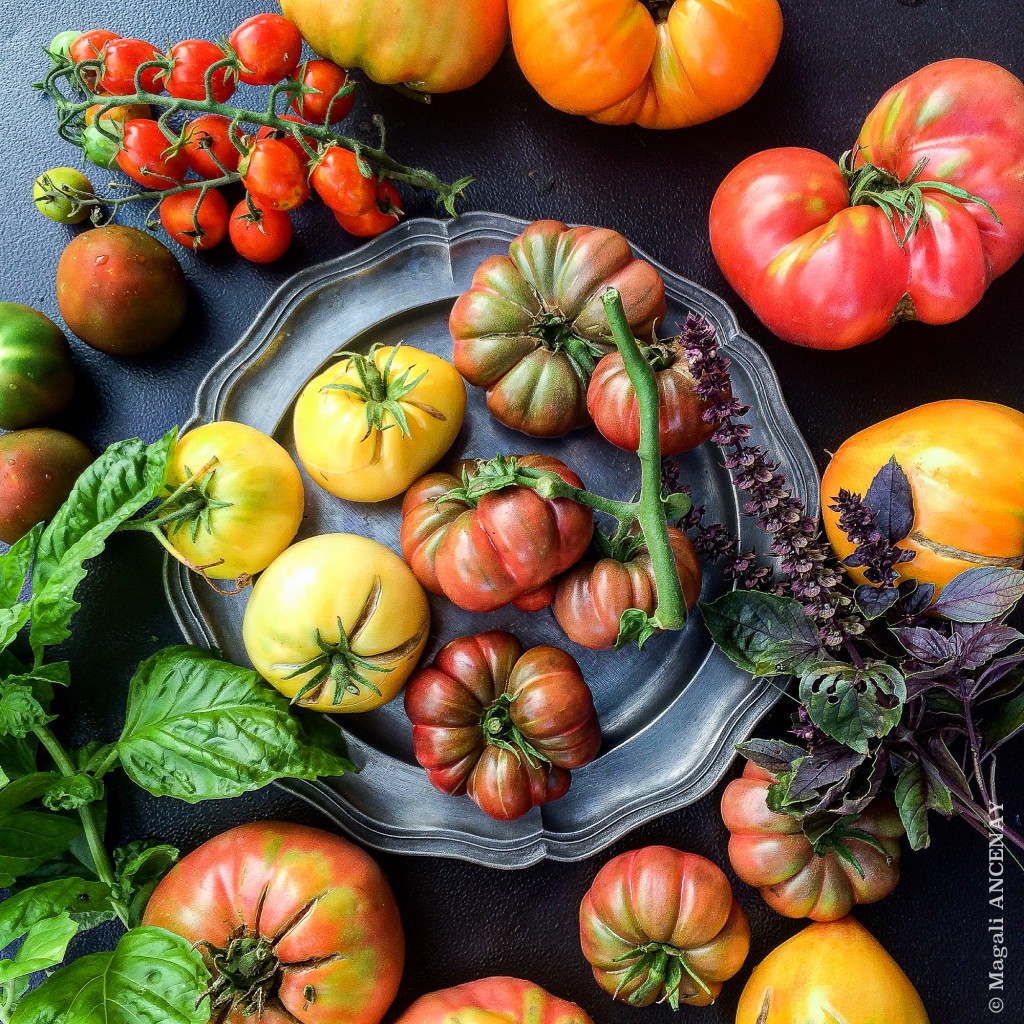 Tomates anciennes au potager Quatre saisons au jardin