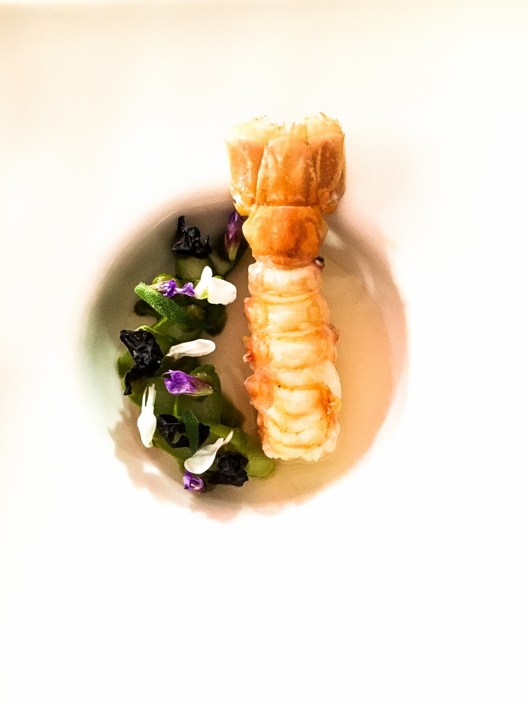 Langoustine, infusion de lilas.