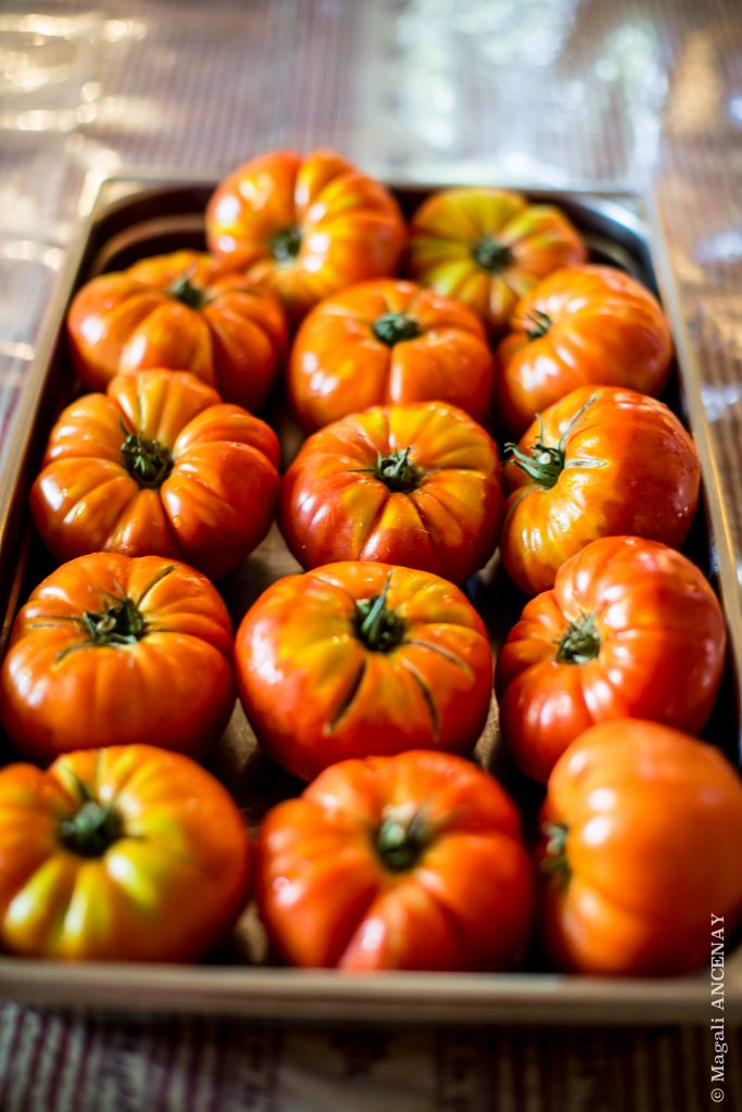Tomates Marmande