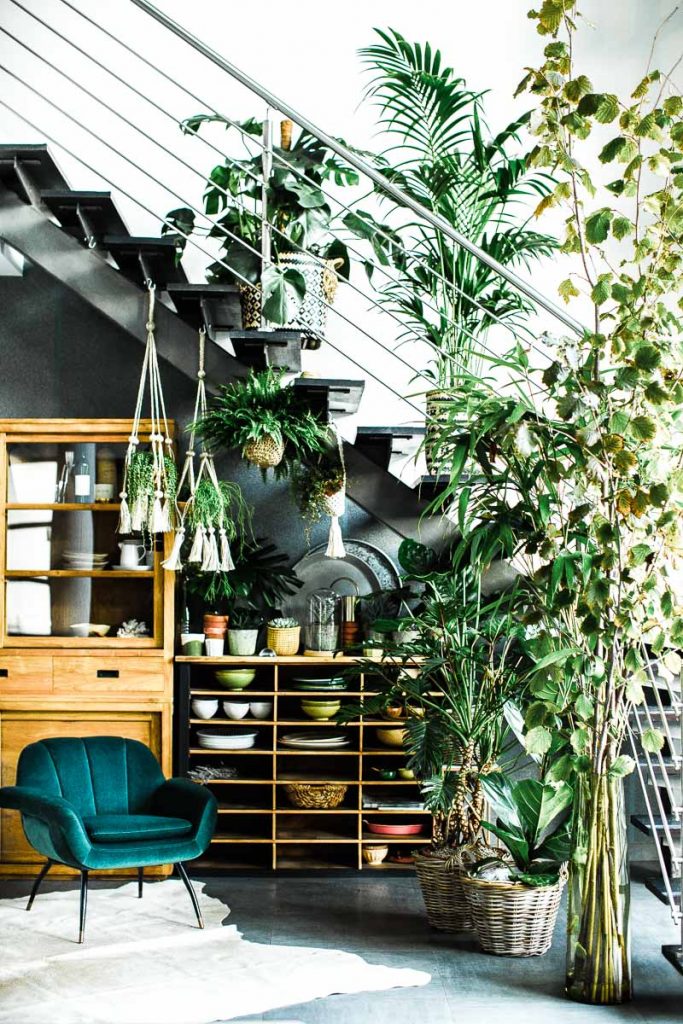 Jeu concours Instagram - Magali ANCENAY PHOTOGRAPHy