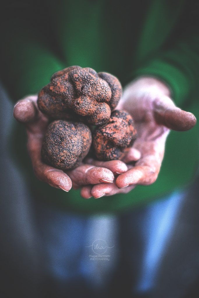 Marché de la truffes Rognes - Magali ANCENAY Photographe Culinaire