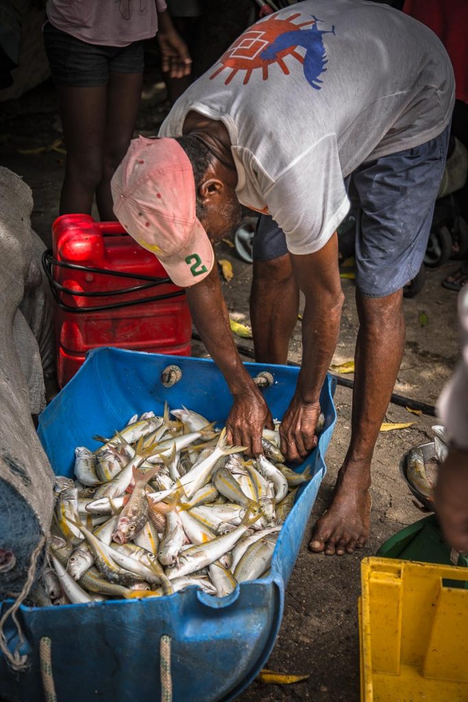 ILE MAURICE PORT LOUIS 2016 - Magali ANCENAY PHOTOGRAPHE Culinaire