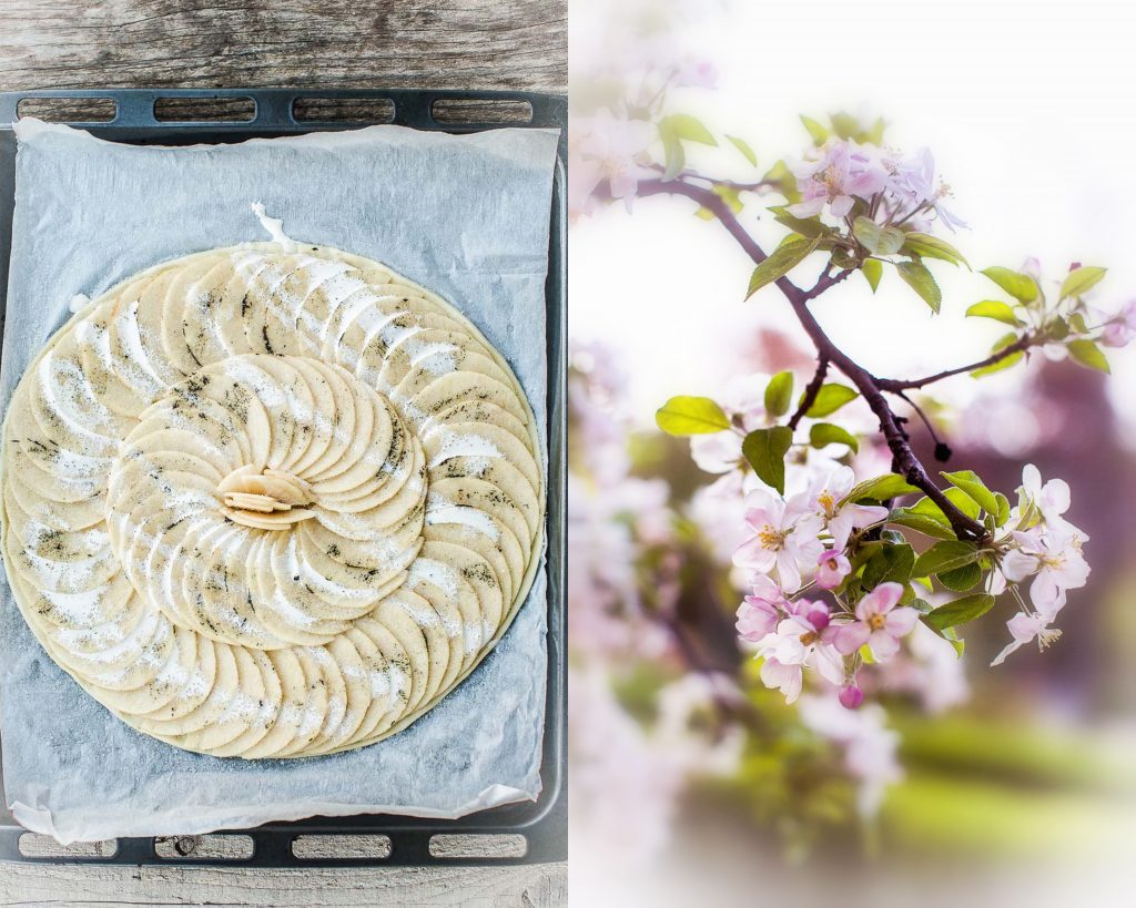 Tarte aux pommes fine- Magali ANCENAY PHOTOGRAPHE Culinaire