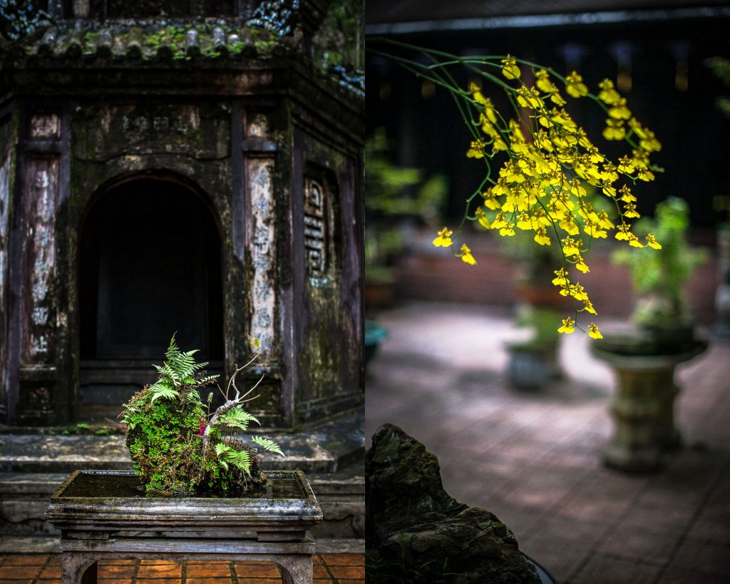 Vietnam 2018 - Magali ANCENAY PHOTOGRAPHE