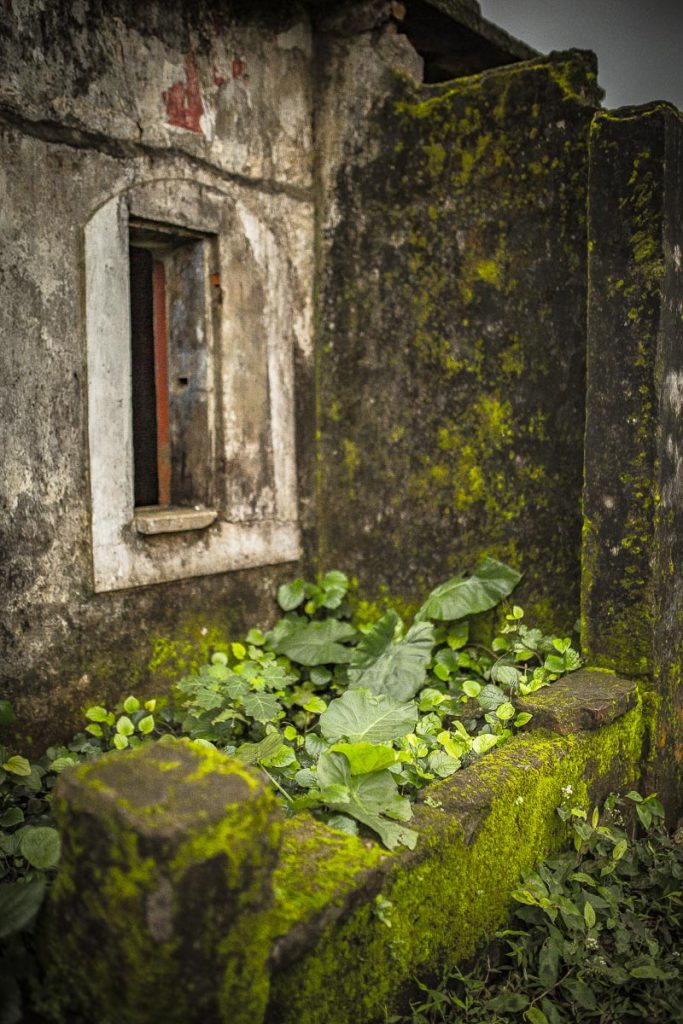 Vietnam 2018 - Magali ANCENAY PHOTOGRAPHE