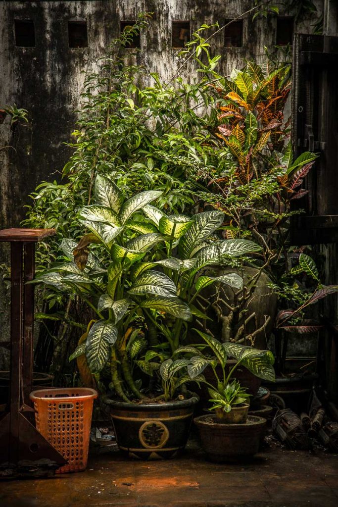 Vietnam 2018 - Magali ANCENAY PHOTOGRAPHE