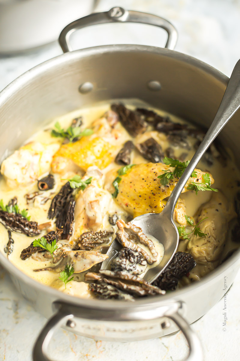 Poulet Au Vin Jaune Et Aux Morilles Bocuse Poulet au vin jaune et morilles Paul Bocuse - Quatre Saisons Au Jardin