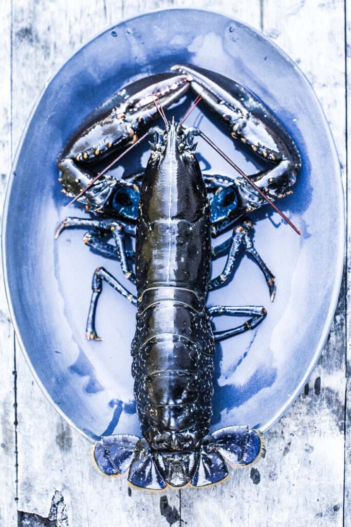 Homard ou langouste, beurre citron herbes Quatre Saisons Au Jardin